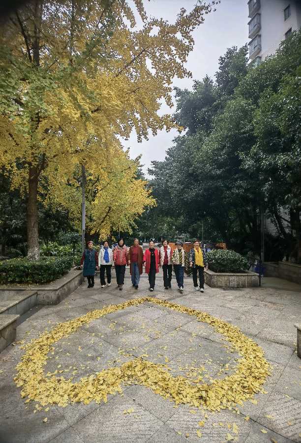 「散文」又是一年叶儿黄（图18）