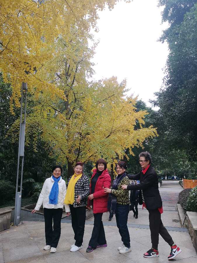 「散文」又是一年叶儿黄（图21）