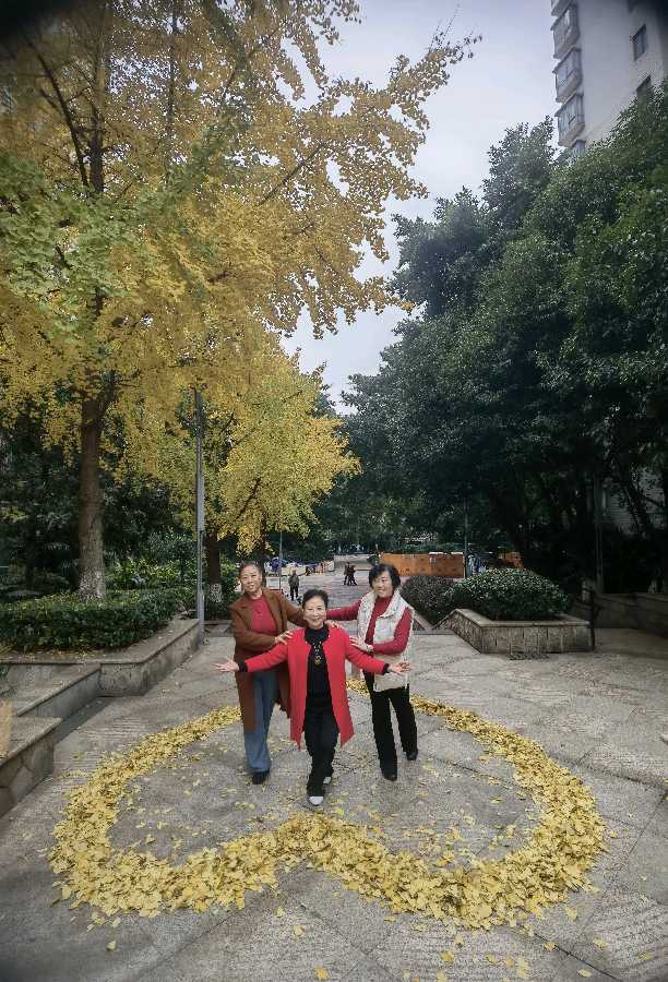 「散文」又是一年叶儿黄（图23）