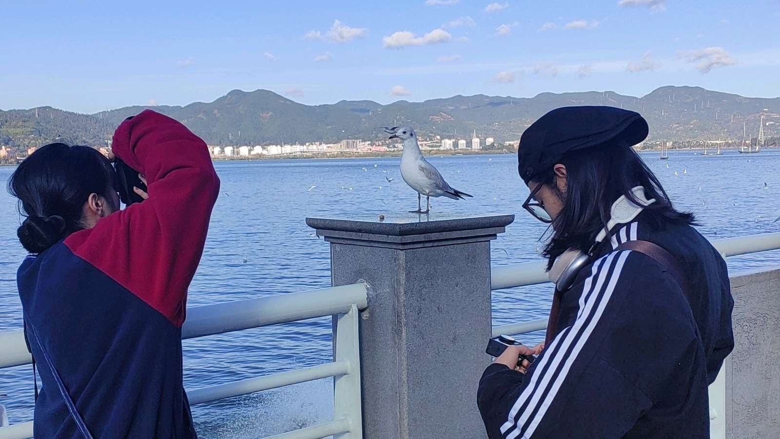 丞恩旅居1号基地部分贵宾昆明丽江大理6日游纪实之四：——与海鸥共处 和石林交流（图25）