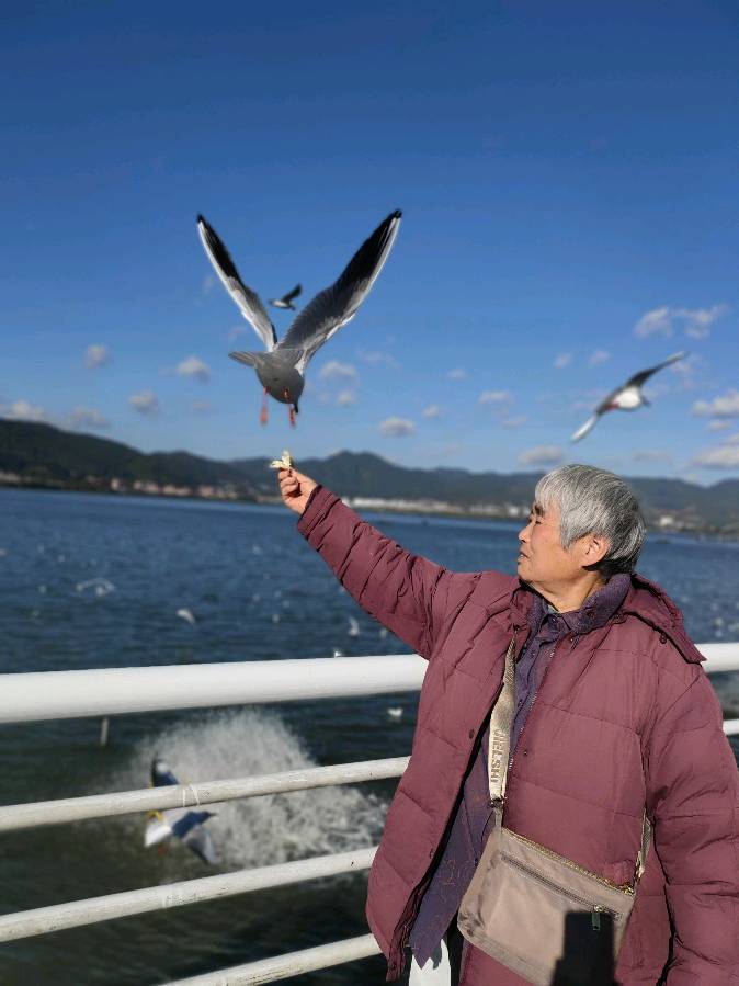 丞恩旅居1号基地部分贵宾昆明丽江大理6日游纪实之四：——与海鸥共处 和石林交流（图10）