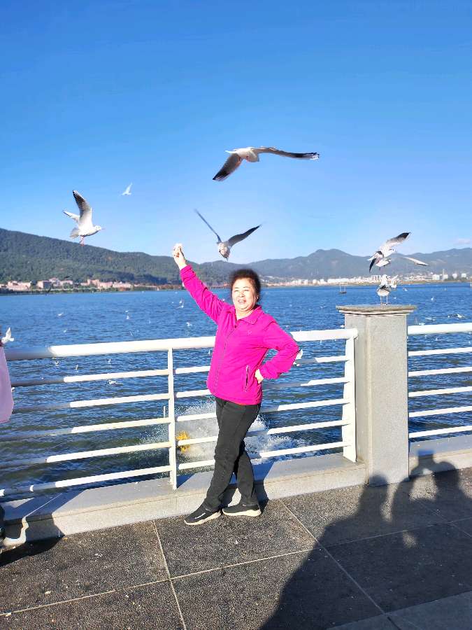 丞恩旅居1号基地部分贵宾昆明丽江大理6日游纪实之四：——与海鸥共处 和石林交流（图13）