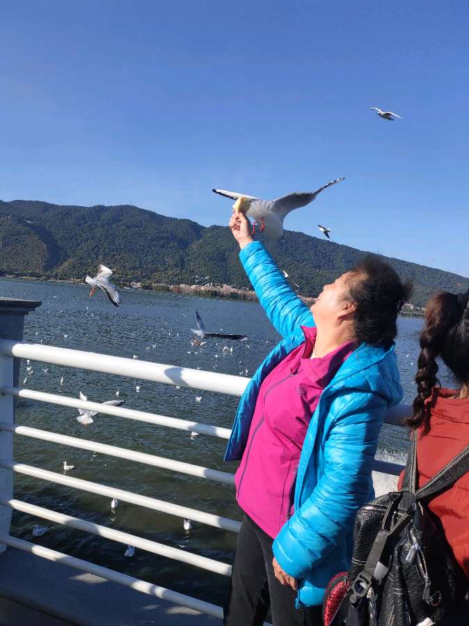 丞恩旅居1号基地部分贵宾昆明丽江大理6日游纪实之四：——与海鸥共处 和石林交流（图7）