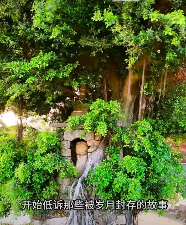 七律-仙境三石塔～诗||雅轩琴韵（图15）
