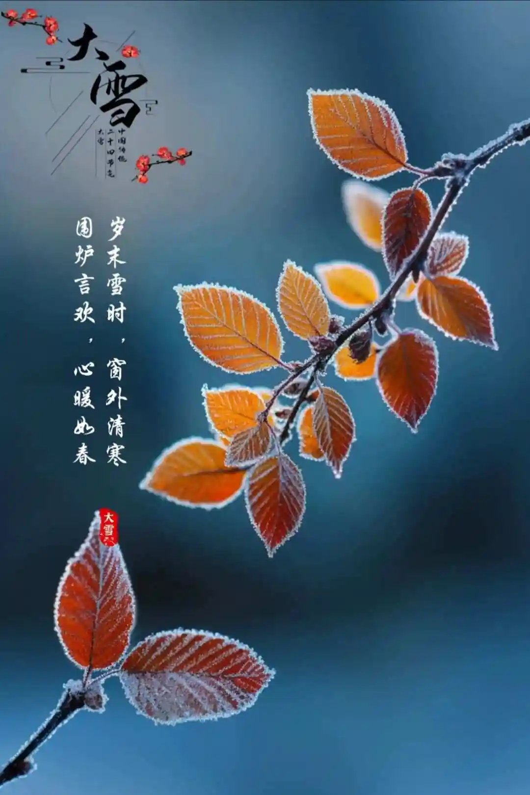 欣赏春晓老师律诗四首·《大雪》（图6）