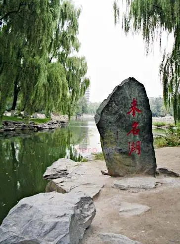 《空谷传声现代诗人现代古诗词牌赏析》作者:何全兴 [中国现代诗歌文化传媒]（图8）