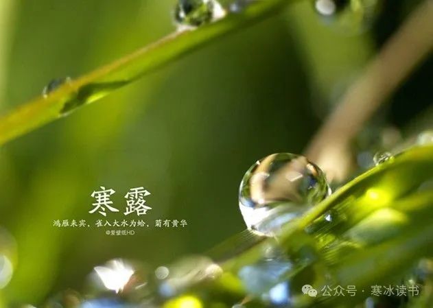 刘晁林南乡子•寒露（图4）