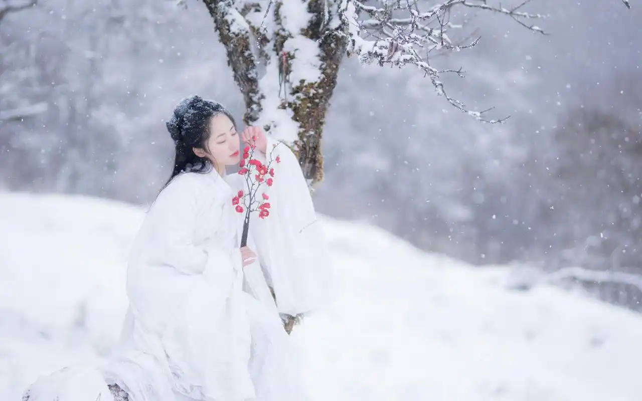 七绝-梅雪（外两首）诗||雅轩琴韵（图14）