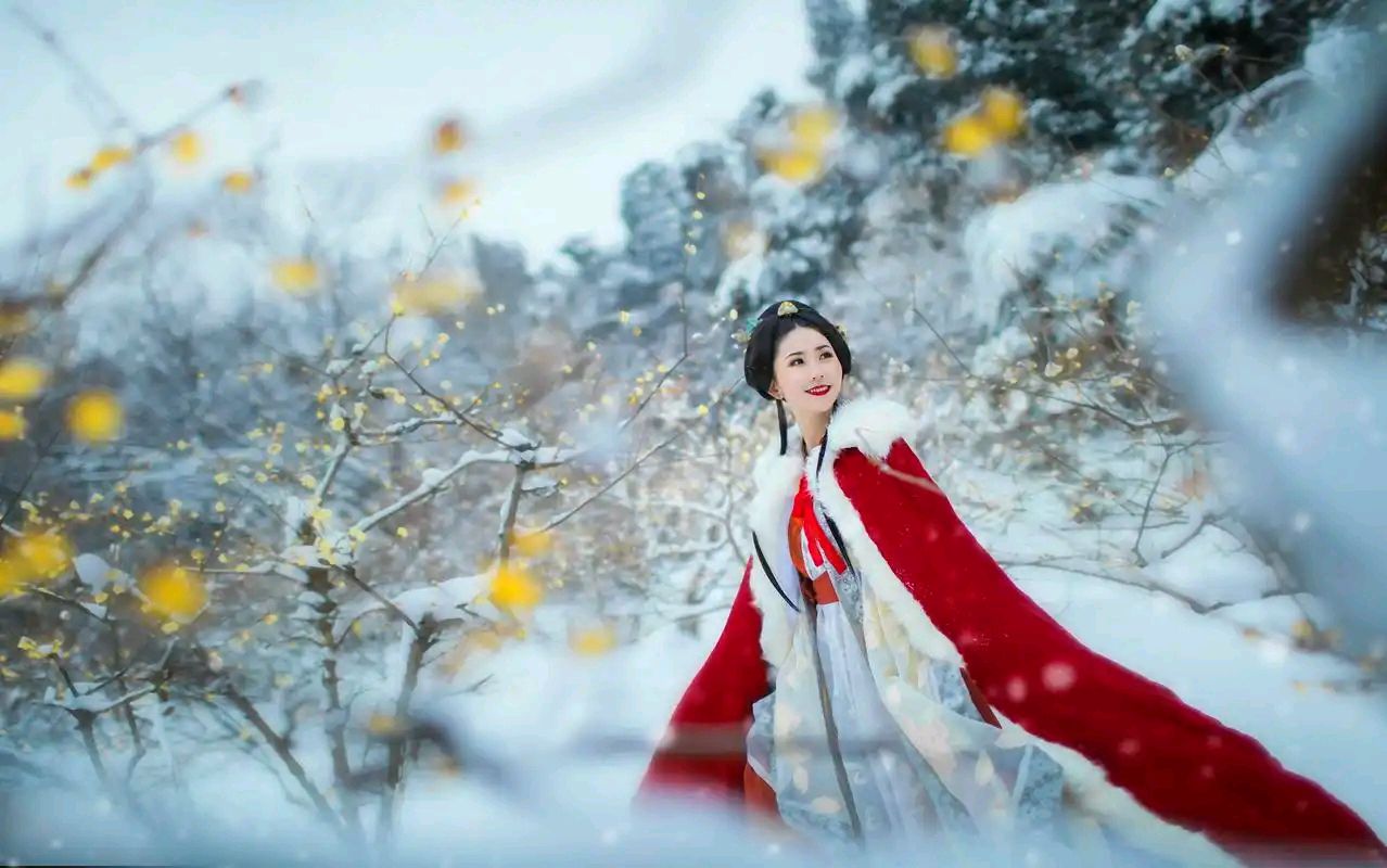 七绝-梅雪（外两首）诗||雅轩琴韵（图16）