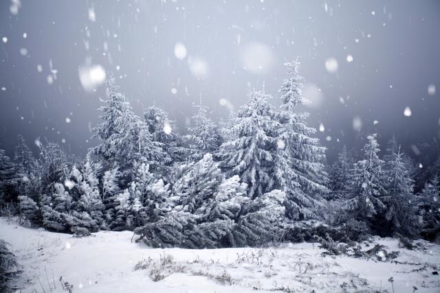 汪孔周：菊花朗诵《雪下的时候》海外头条（图7）