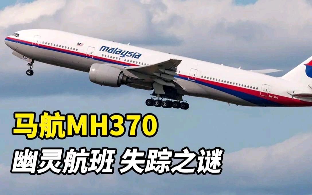 疑惑马航客机失联～诗||李耀文（图10）