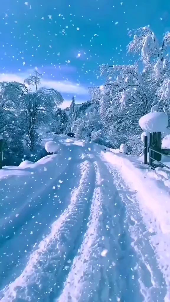 【新山东文学社】《雪花泪》作者/田歌 主播/天空(图7)