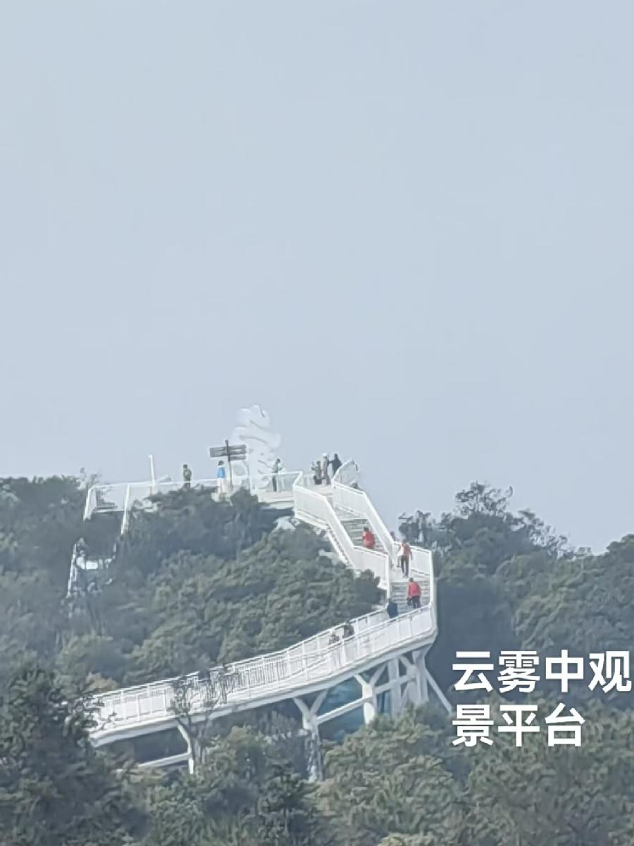 （叙事散文诗）冬日乘兴游：作者||丁培恭｜海外头条（图17）