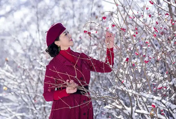 【新山东文学社】《飘雪的时候想起他》作者/子兰 主播/苏宁（图3）