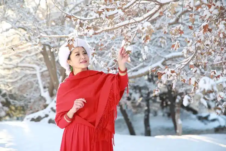 【新山东文学社】《飘雪的时候想起他》作者/子兰 主播/苏宁（图5）