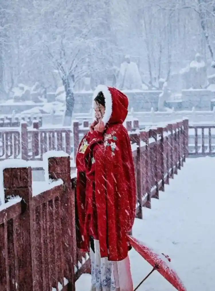 【新山东文学社】《飘雪的时候想起他》作者/子兰 主播/苏宁（图6）