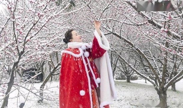 七绝-梅雪情缘～诗||真诚（哲林）（图16）