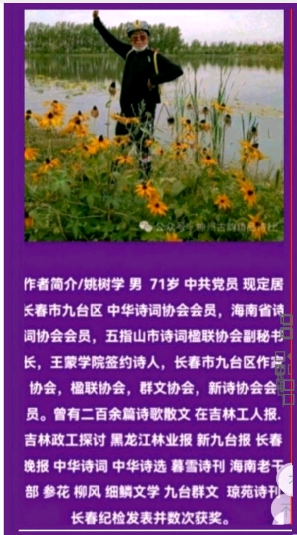 乡村酸菜炖大鹅 作者：姚树学（图2）