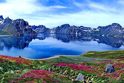 【荣耀中国】五绝 人生总有春文/南山翁（图2）