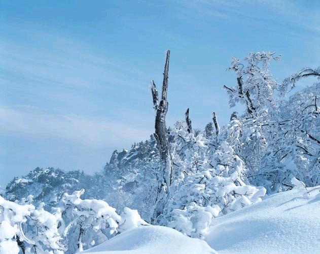 【神州源流诗苑】第1275期优秀现代诗等周刊(图9)