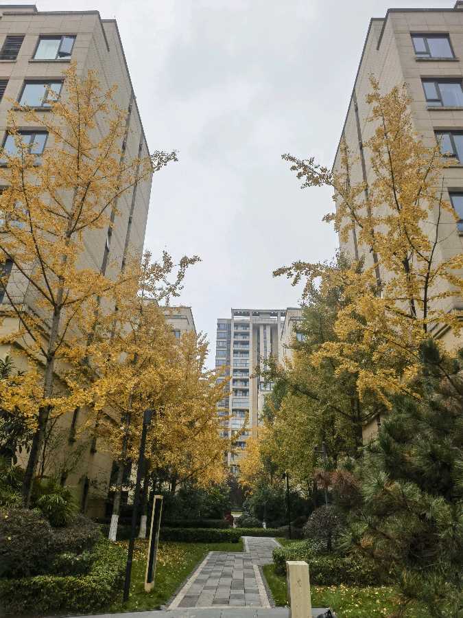 「散文诗」深冬里的千屿（图3）