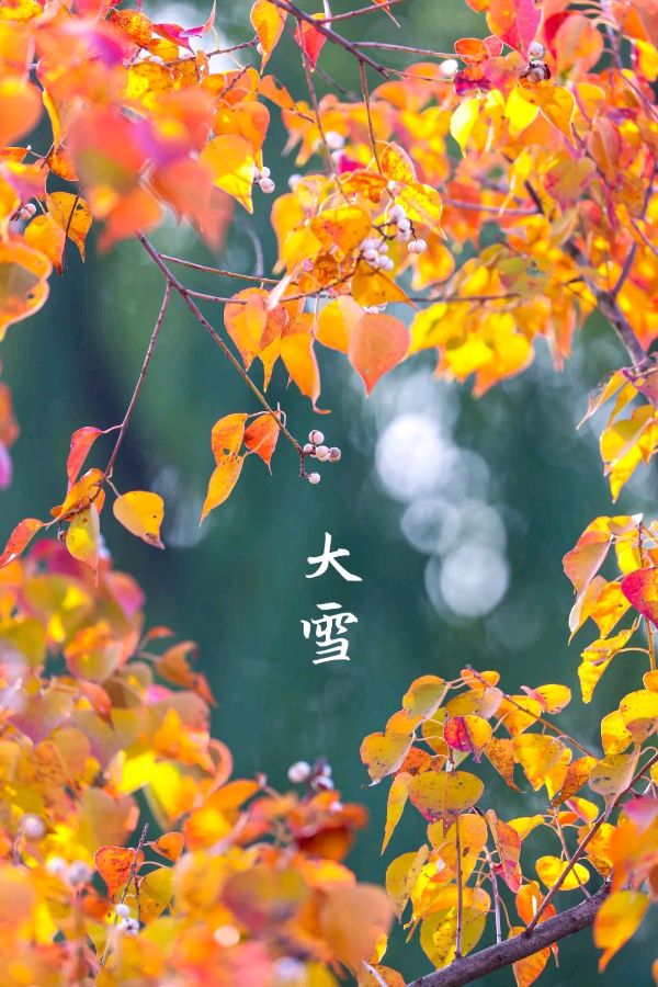 推荐丨许日辉先生 七绝 大雪节气二十四首（图4）