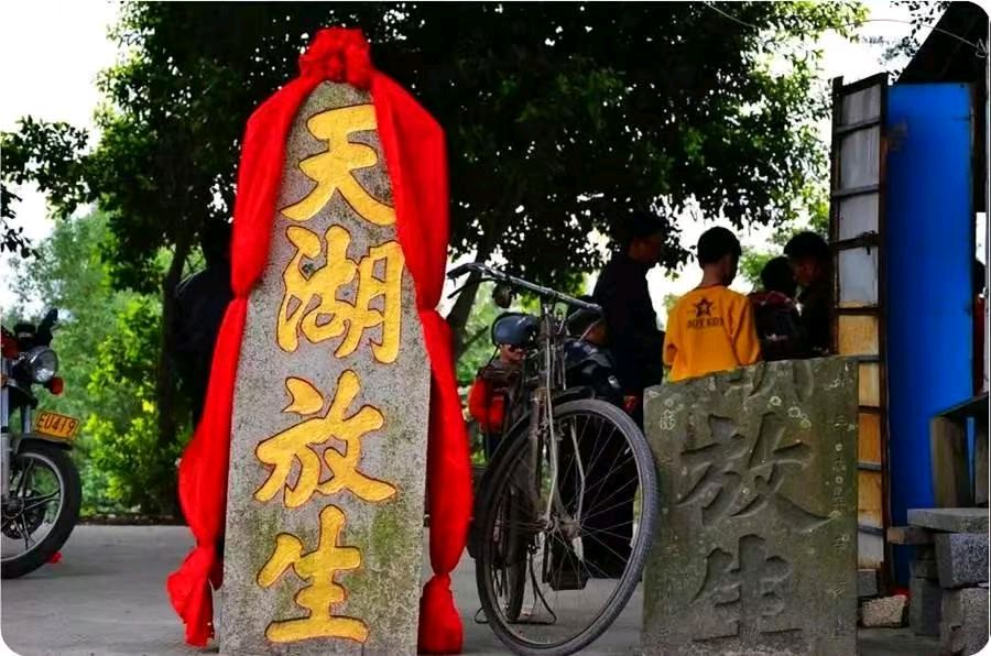 排律-天湖放生池～诗||雅轩琴韵（图10）