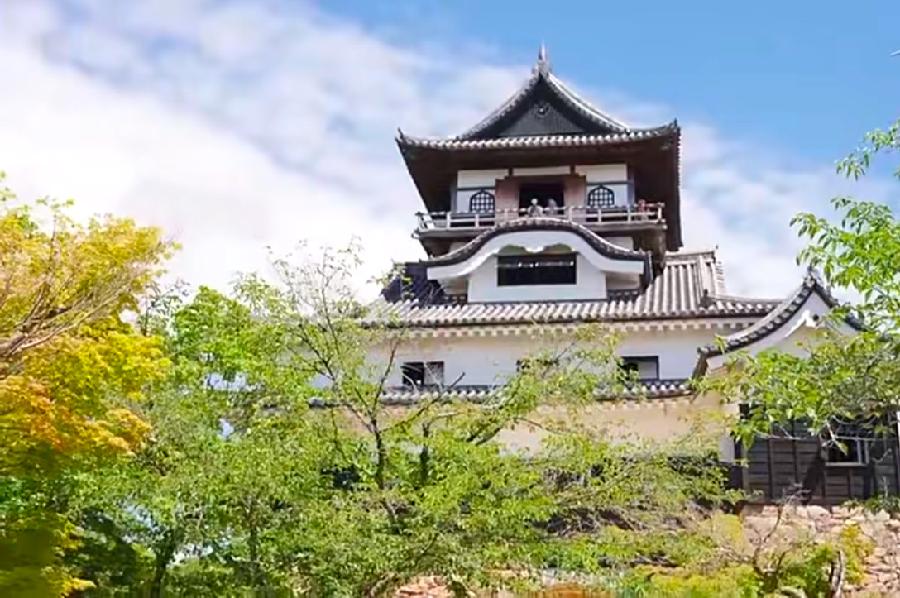 火凤凰：铁石朗诵《又上西楼》海外头条（图6）