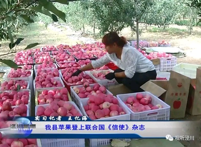 《诗人何全兴现代古诗集》作者:何全兴 [中国现代诗歌文化传媒]（图13）