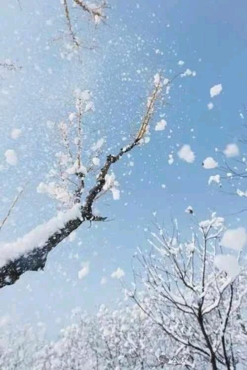 《大雪》作者:王明雪【主播:青青草】【桃源国际诗歌文化传媒】用声音传递温暖以诵读致敬人生♬（图7）