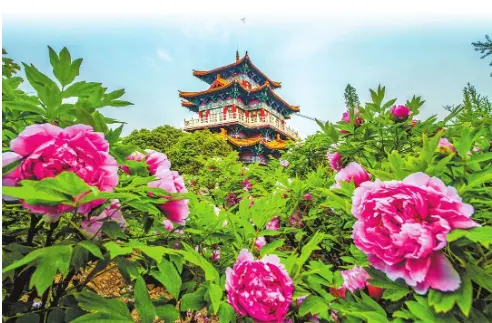 《诗人何全兴现代古诗集》作者:何全兴 [中国现代诗歌文化传媒]（图6）