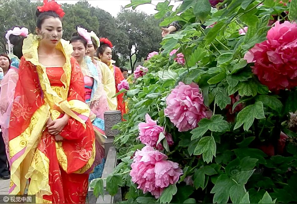 《诗人何全兴现代古诗集》作者:何全兴 [中国现代诗歌文化传媒]（图7）