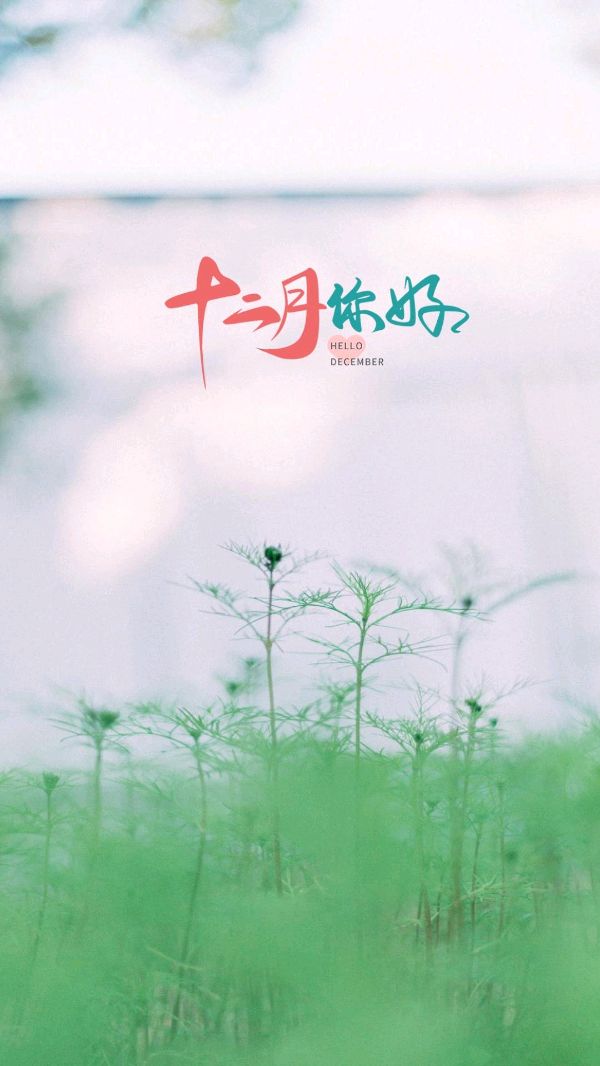 《十二月》作者:芦国柱【主播:青青草】【桃源国际诗歌文化传媒】用声音传递温暖以诵读致敬人生♬（图6）