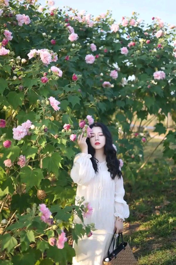 七律-青女冬巡（外一首）诗||白小文（图16）