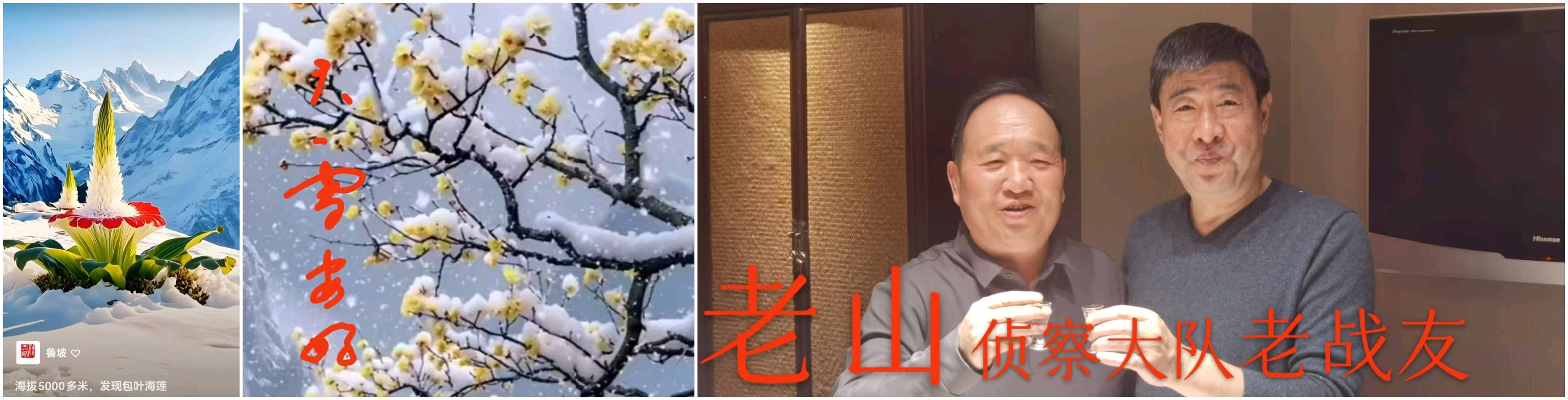 【重磅推出】鲁坡//戎晖映寒冬[战友情暖三冬]（图3）