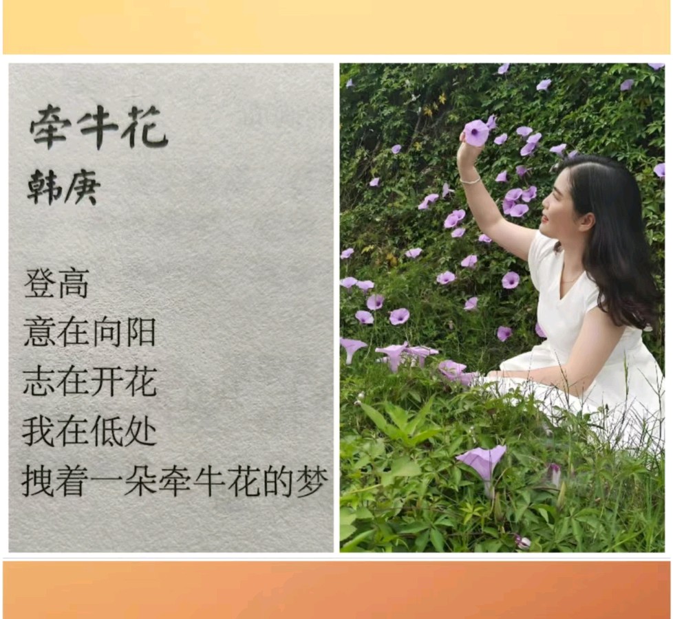 韩庚的《牵牛花》