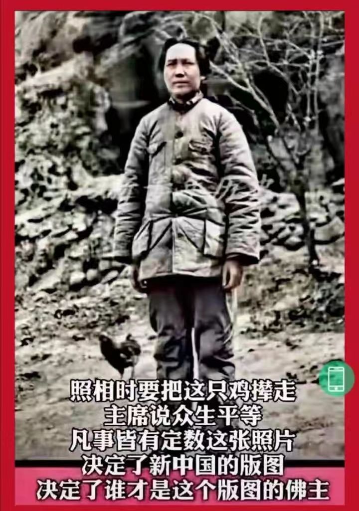 【名家诗坛】山抹微云：黑天鹅朗诵《缅怀伟人毛泽东（词三阕）》海外头条（图10）