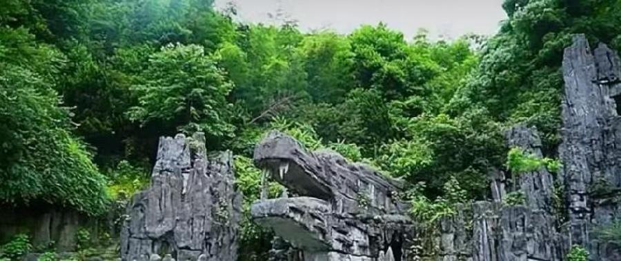 【名家诗坛】山抹微云：黑天鹅朗诵《缅怀伟人毛泽东（词三阕）》海外头条（图9）