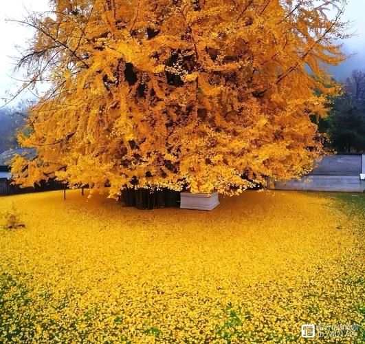 红色文化诗词精典32期(图34)