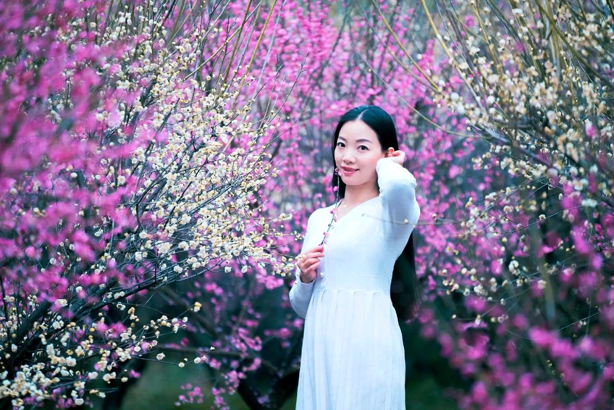 梅韵（上、下组诗）文/剑如虹（河南）