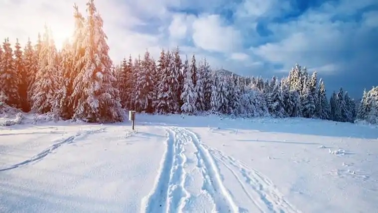 雷金钟：欣喜人生朗诵《雪》海外头条（图6）