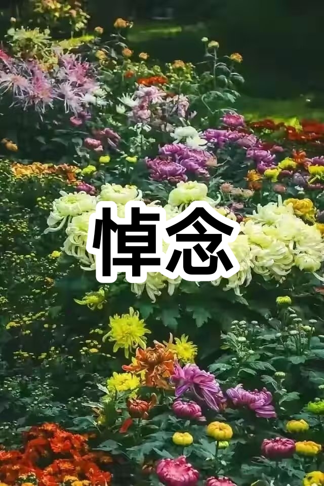 刘凤亭格律诗三首/中华诗艺社黑龙江分社推荐（图9）
