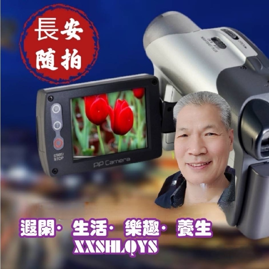 【❄️冬景集】L第46集（图4）