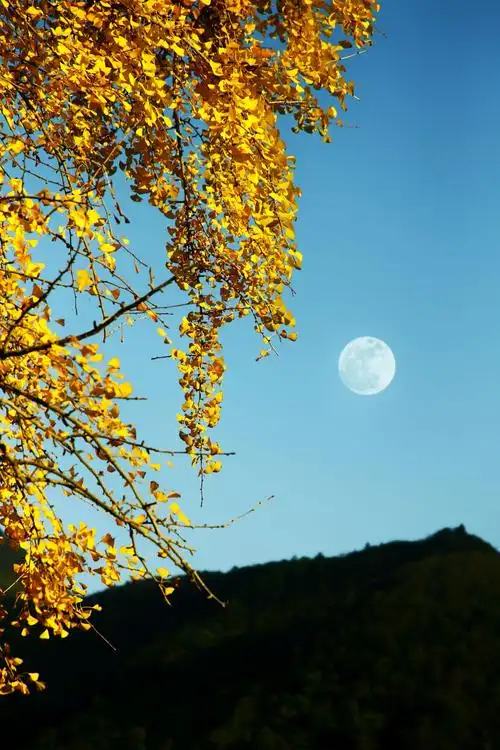 华万里：《那夜》海外头条（图5）