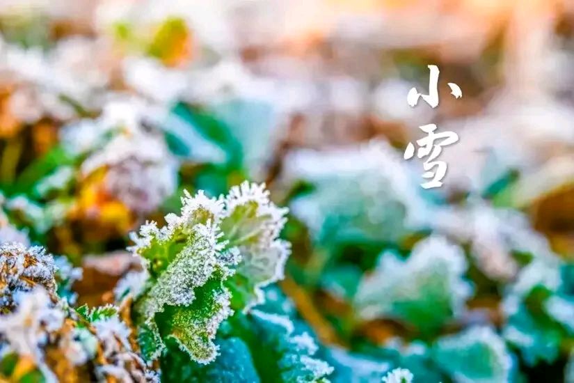 刘晁林南乡子•小雪（图3）
