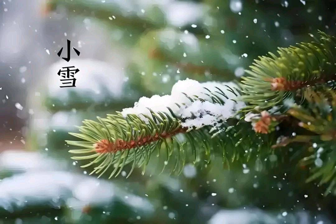 刘晁林南乡子•小雪（图4）