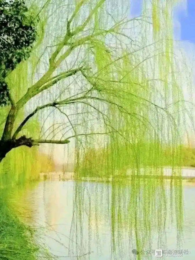 中华诗艺社江西分社【格律诗词精品鉴赏】都市头条•周刊(总第1657期)(图8)