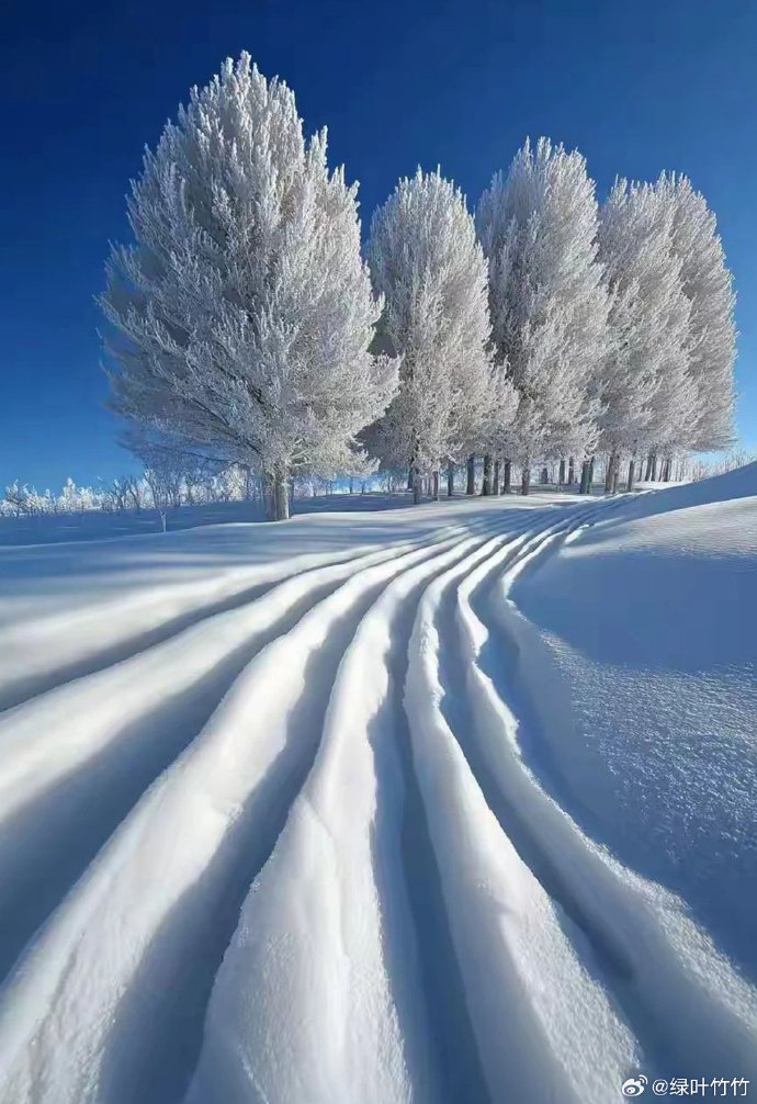 周渔：《雪刀》海外头条（图5）