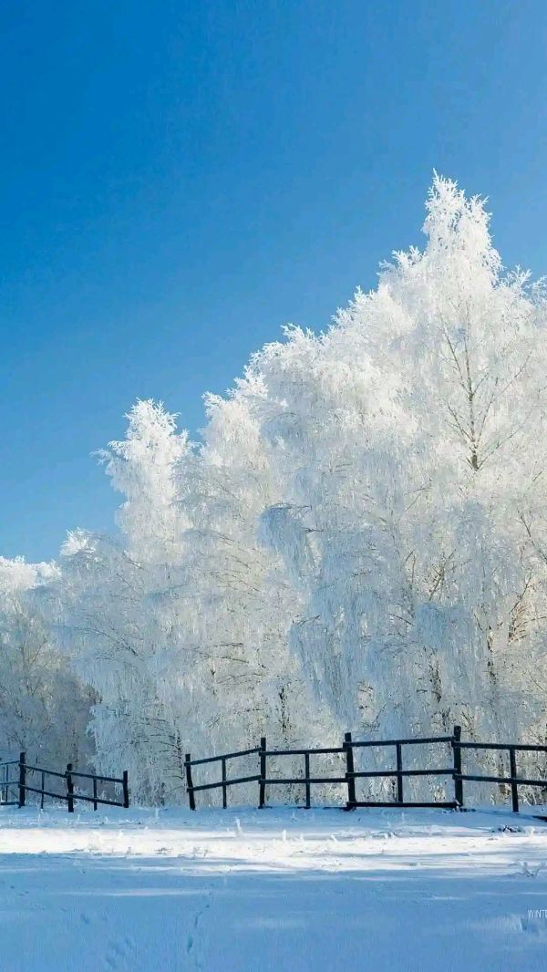 聆听 ‖ 旭洋朗诵《我在莹莹雪花中自逸安然》作者/石志华（图7）