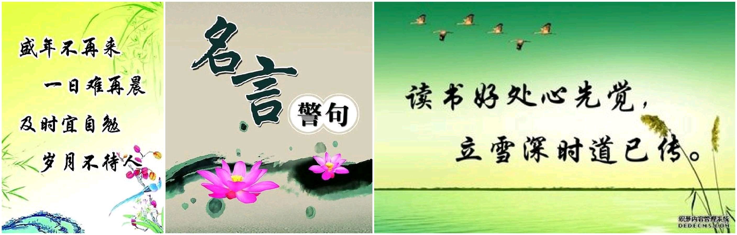 【冬韵抒怀】鲁坡//海棠依旧万山红[谁曾少壮准佩剑]（图5）